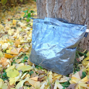 スイングサック